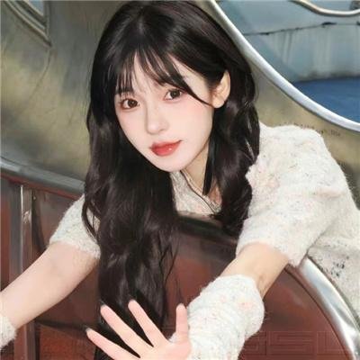科搜研之女2022